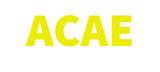 AIM CULTURE AND EDUCATION ASSOCIATION